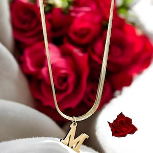 Goldene Alphabeten Glieder Halskette, Personalisierbarer Schmuck, Zierliche und minimalistische Initialien Halskette für Sie, Geschenk