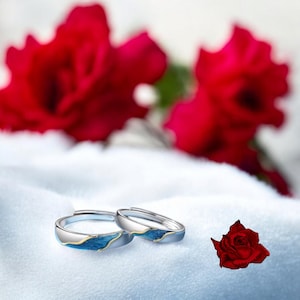 May include: Two silver rings with blue and gold accents. The rings are on a white surface with red roses in the background.