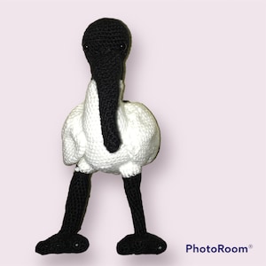 Bin Chicken, Ibis, Plush toy.