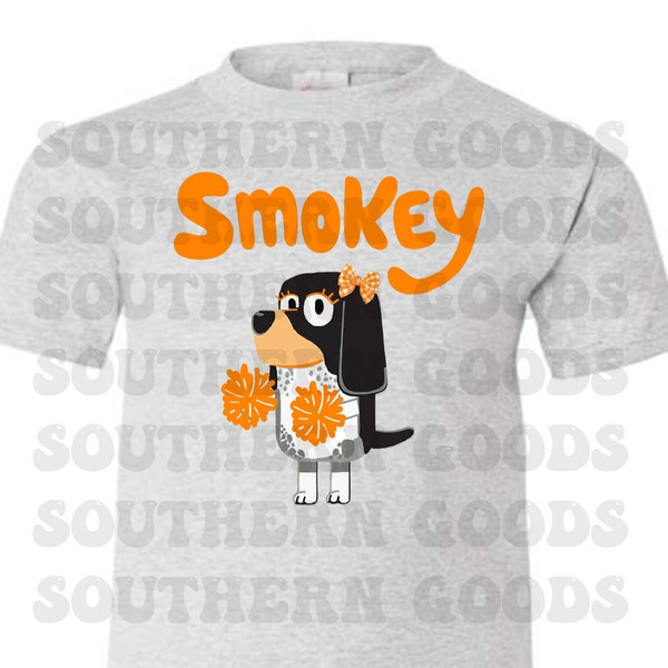 Football, Orange and white, TN, Tennessee, Smokey