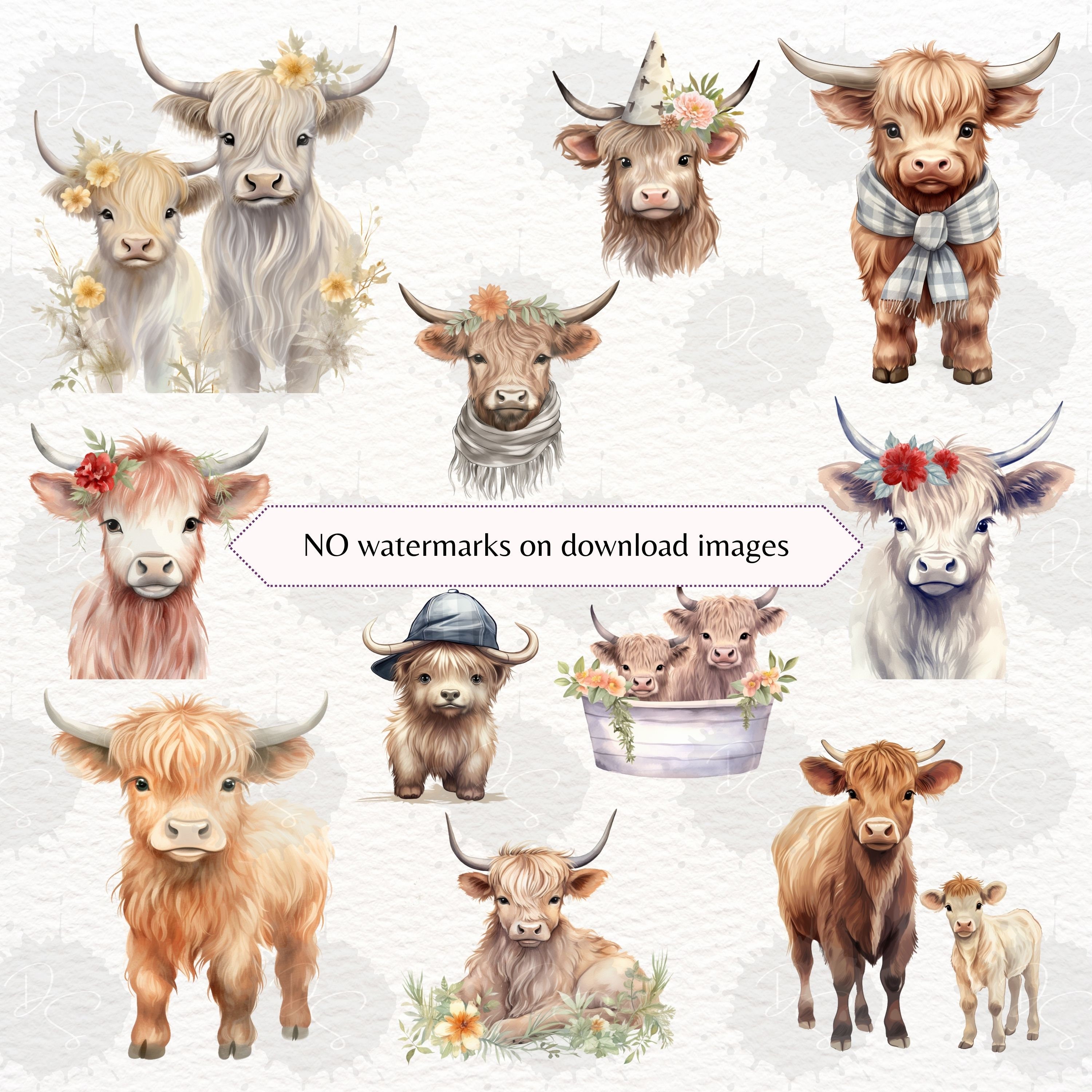 Watercolor Clipart Highland, Highland Cow Watercolor PNG, Watercolor ...