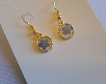 Nature's Elegance - Gold-Colored Earrings with real Queen Anne's Lace or Forget Me Not Flowers