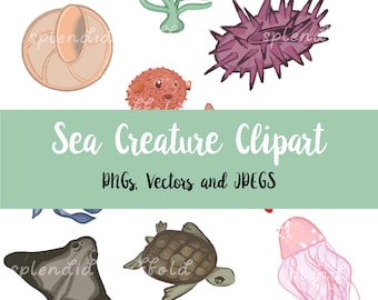Sea Animals Clipart | Sea Creature PNGs, JPEGs, Vectors, Under the Sea: Shark, Stingray, Octopus, Fish, Seaweed, Jellyfish, Starfish