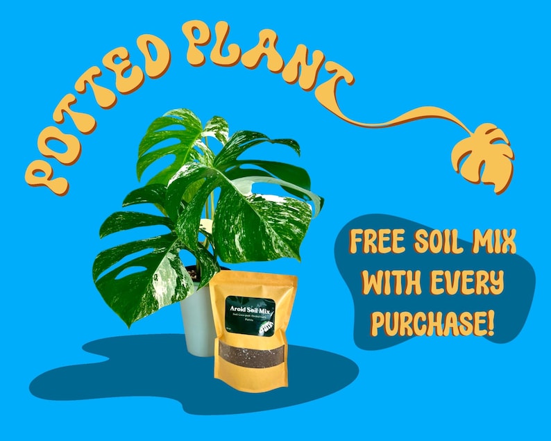 May include: A potted Monstera plant with large green and white variegated leaves in a white pot. A bag of soil mix is in front of the plant. Text reads "POTTED PLANT" and "FREE SOIL MIX WITH EVERY PURCHASE!" on a blue background.