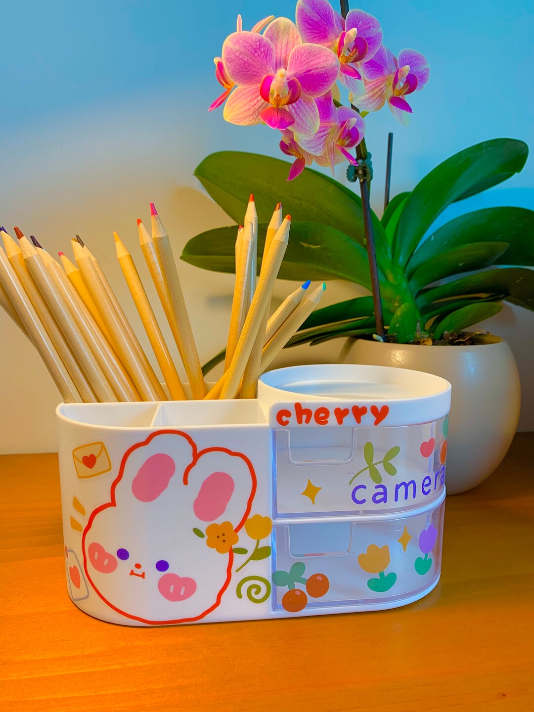 Kawaii Pencil Holder and Organizer 3 Pencil Compartments Two Etsy
