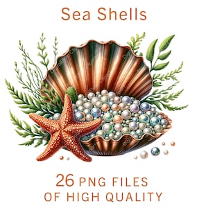 Sea Shell Clipart | 26 PNG FIles | Watercolor vacation clipart | Commercial use coastal designs | Beach Illustrations | Digital scrapbooking
