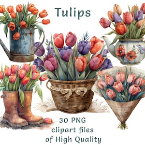 Pacote de clipart de tulipa aquarela | 30 PNG para download digital | Arte floral rústica em vasos, baldes de xícaras de chá | Sublimação de primavera e adesivos