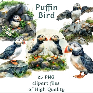 Puffin Birds Clipart - 25 PNG acquerelli unici per uso commerciale, perfetti per inviti, decorazioni per la scuola materna e arte digitale, ispirati alla natura