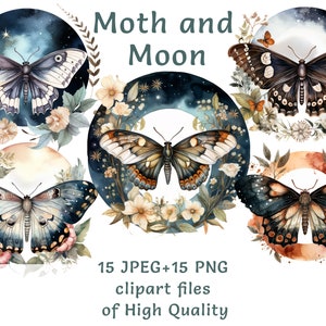Motte und Mond Clipart, 15 Aquarell Insekt PNG und JPEG Illustrationen, Nachtmotte Grafiken, himmlische Schmetterlingskunst, kommerzielle Nutzung