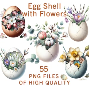 Imágenes prediseñadas de flores de cáscara de huevo / 55 PNG de huevos rotos y flores de primavera / Pegatinas de Pascua de acuarela, decoración de granja, diseño de sublimación de temporada