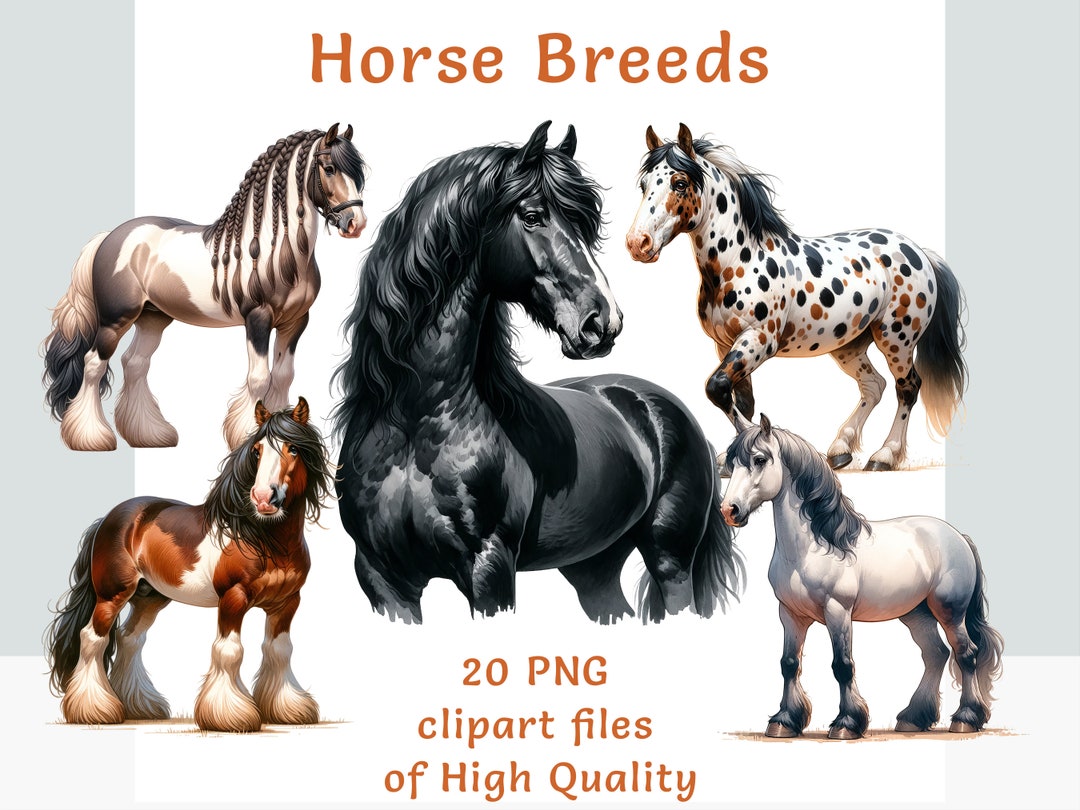 Horse Breeds Clipart Collection - 20 Watercolor PNG Files for ...