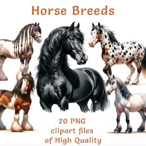 Colección de imágenes prediseñadas de razas de caballos - 20 archivos PNG de acuarela para uso comercial, arte digital equino, gráficos imprimibles de animales educativos