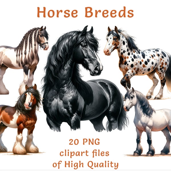 Horse Breeds Clipart Collection - 20 Watercolor PNG Files for Commercial Use, Equine Digital Art, Educational Animal Printable Graphics