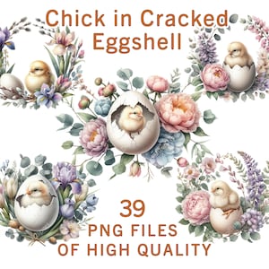May include: A set of 39 digital illustrations featuring cute chicks in cracked eggshells surrounded by colorful flowers. The illustrations are perfect for spring and Easter crafts.