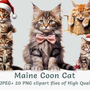 Clipart chat Maine coon | 20 images PNG, JPEG d'adorables chatons duveteux | Chats de Noël, graphismes mignons pour animaux de compagnie, art numérique, stickers pour chambre d'enfant
