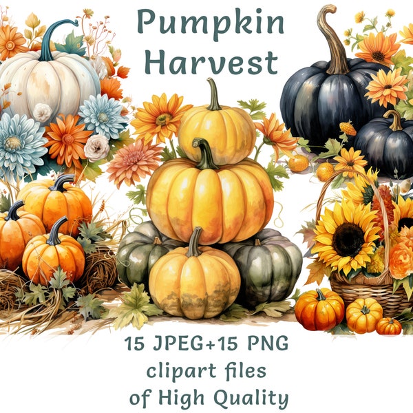 Autumn Pumpkin Harvest Clipart, 15 Watercolor Halloween PNG/JPEG, Seasonal Digital Art, Commercial Use, Instant Download Black Vegetables