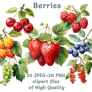 Set di clipart di bacche estive, illustrazioni di cibo ad acquerello, 20 PNG e JPEG, uso commerciale, menu della collezione di arte digitale di frutta fresca Stampabili