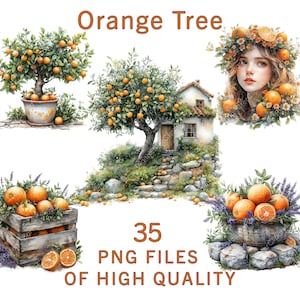 Orange Baum Clipart | 35 PNG | Zitrusfrüchte, rustikaler Garten | Vintage Obstgarten Illustrationen für Sublimation, Drucke, Urlaub Digitale Kunst