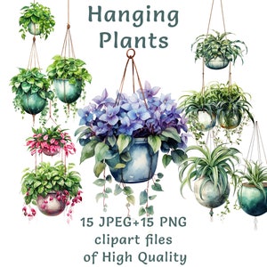 May include: Watercolor illustration of 15 hanging plants in various colors and styles. The plants are in pots and hanging from cords. The text "Hanging Plants" is written in the top center of the image.