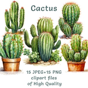 Kaktus Clipart | 15 PNG + JPEG | Aquarell Wüste Aufkleber | Kommerzielle Nutzung Sukkulenten Sublimationsdruck Digitales Bündel | Sommer Dekor