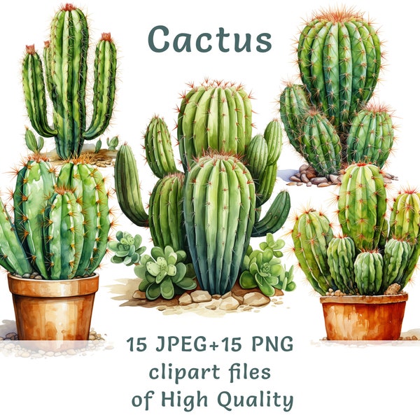 Desert Cactus Clipart - Succulent and Watercolor Illustrations, 15 PNG and JPEG, Summer art Ideal for Commercial Use and Digital Projects