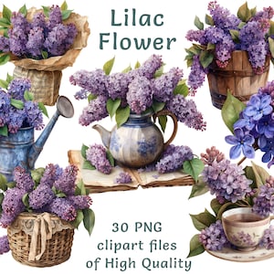 Clipart de acuarela de flores lilas: 30 PNG para uso comercial, colección de arte digital floral, descarga instantánea, imprimibles de primavera violeta
