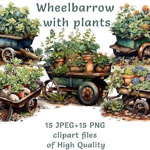 Gardening Essentials Clipart, Carretilla de acuarela y diseños de plantas - 15 PNG y JPEG Suculent Garden Lover's Digital Art Uso comercial