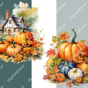 May include: Watercolor illustrations of pumpkins and autumn foliage. One image features a cottage with pumpkins, while the other showcases a variety of pumpkins in shades of orange, blue, and white, with fall leaves.
