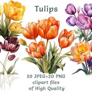 Clipart tulipano Waterclolor, 20 PNG e JPEG di alta qualità, clip art di fiori primaverili, decorazioni per matrimoni per uso commerciale, adesivi floreali cottagecore