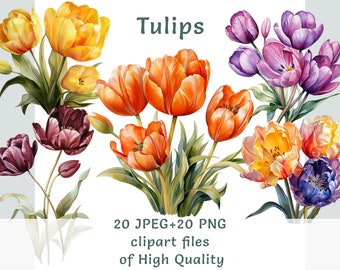 May include: A digital illustration of 20 different tulip flower clipart images. The tulips are in various colors, including yellow, orange, purple, and blue. The image includes the text "Tulips" and "20 JPEG + 20 PNG clipart files of High Quality".