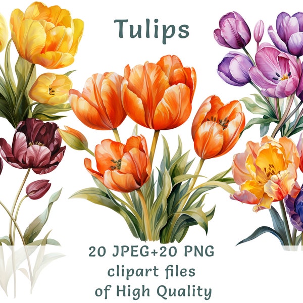 Waterclolor tulip clipart, 20 high quality PNG and JPEG, spring flowers clip art, commercial use wedding decor, floral stickers cottagecore