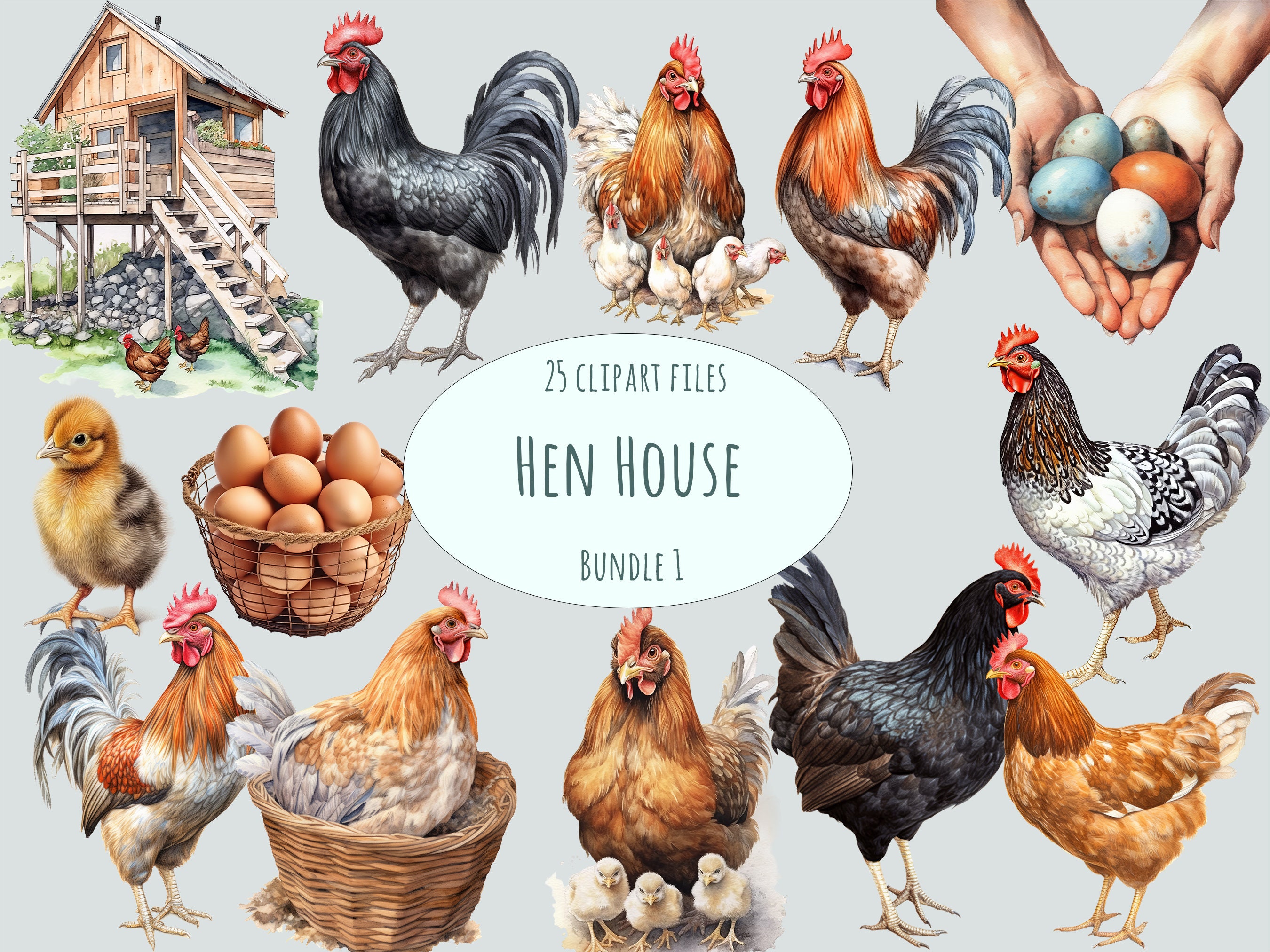 Chicken and Rooster Clipart, 15 Watercolor Rustic Farm Bird PNG Files, Countryside Egg Illustrations, Poultry Art for commercial use