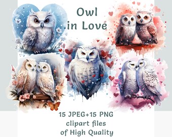 Owl clipart bundle, Watercolor valentine's day clipart set, Sublimation print love stickers pack Commercial use bird clipart transparent png