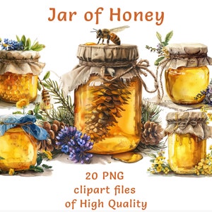 Honey Jar Clipart Collection - 20 aquarel PNG-bestanden, commercieel gebruik, ambachtelijke honingraat & Bee Graphics voor creatieve projecten, Food Art