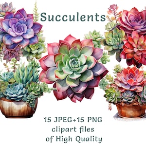 Clipart succulente dell'acquerello 15 clip art floreali PNG e JPEG di alta qualità uso commerciale soldi pianta verde adesivi stampabili wall art