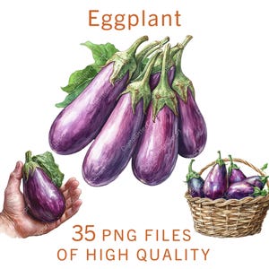 Aubergine Clipart | 35 fichiers PNG | Clipart nourriture aquarelle | Utilisation commerciale | Clipart de légumes | Lot d'autocollants numériques | Étiquettes de boutique