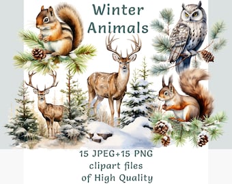 Winter Forest Animal Clipart | 15 PNG & JPEG Woodland Snowy Wildlife Art | Watercolor Christmas Sublimation, Stickers, Rustic Decor