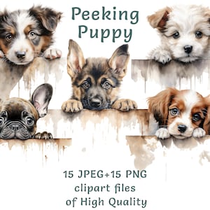 Aquarell Welpe Clipart 15 hohe Qualität PNG und JPEG, die Hunde hinter Zaun spähen Ausdrucke Haustier Aufkleber kommerzielle Nutzung sofort-Download