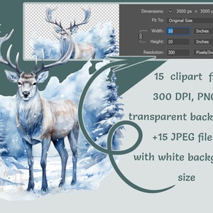 Clipart animaux aquarelle hiver, 15 autocollants PNG JPEG de haute qualité, illustration de forêt hiver neige utilisation commerciale imprimables de Noël