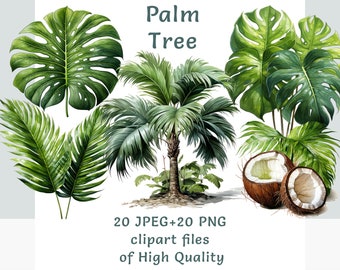 May include: A watercolor illustration of a palm tree with green leaves and coconuts. The image also includes two monstera leaves and a palm frond.