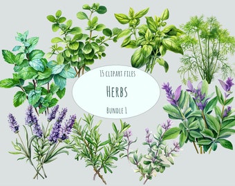 Cooking herbs clipart, 15 high quality PNG, medical herb stickers, watercolor lavender fall harvest printables cottagecore instant download