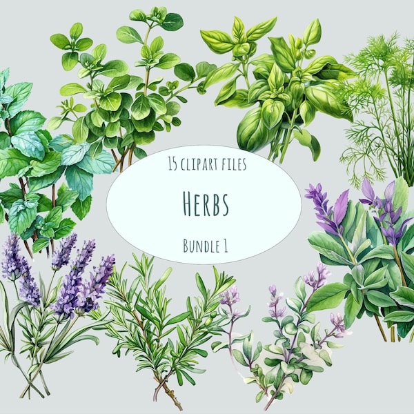 Watercolor Herbs - Etsy