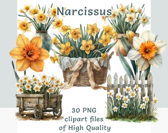 Watercolor Narcissus Clipart Collection - 30 PNG Floral Designs for Spring Projects, Commercial Use, Instant Download Spring Wedding Flowers