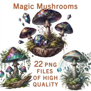 Clipart champignon | 22 fichiers PNG | Clipart magique aquarelle | Utilisation commerciale | Forfait numérique forestier | Stickers Champignons Imprimables