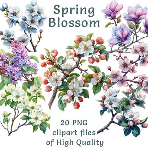 Clipart de Flores | 20 Arquivos PNG | Clipart de Primavera | Pacote Digital de Casamento em Aquarela | Uso Comercial | Imprimíveis de Sublimação de Primavera