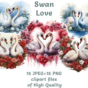 Clipart de cisne - 15 PNG e JPEG com tema de coração romântico em aquarela do Dia dos Namorados para convites de casamento e artesanato de amor, uso comercial