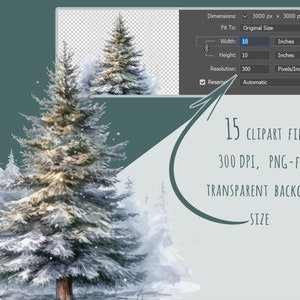 Aquarell Weihnachtsbaum Clipart, 15 hochwertige PNG dekorierte immergrüne Tanne Kiefer, Christbaumkugeln Karte, die winterliche Aufkleber zum Ausdrucken macht