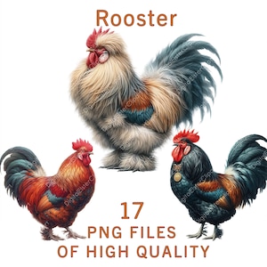 Rooster Clipart | Watercolor Chicken Clipart | 17 PNG Files | Commercial Use | Hen Stickers | Farm Birds Clipart | Poultry Illustrations