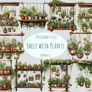 Plantenclipart | 20 png-bestanden | Aquarel houten rekstickers | Commercieel gebruik | Digitale potplantenbundel | Afdrukbare items op plankstandaard