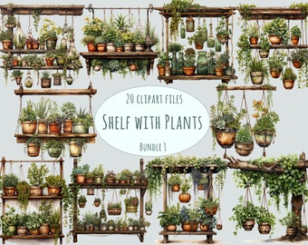 Plant Shelf Clipart Bundle, Hanging Plants & Wooden Shelves, Potted Plants PNG, Watercolor Greenery, Transparent Background, Commercial Use